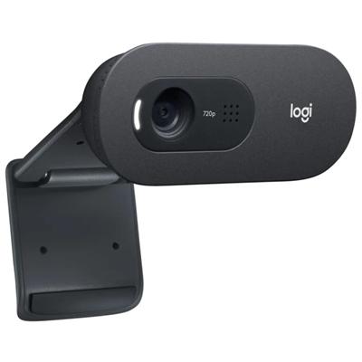 Logitech Webcam c505E 1280*720 Negro - Imagen 1